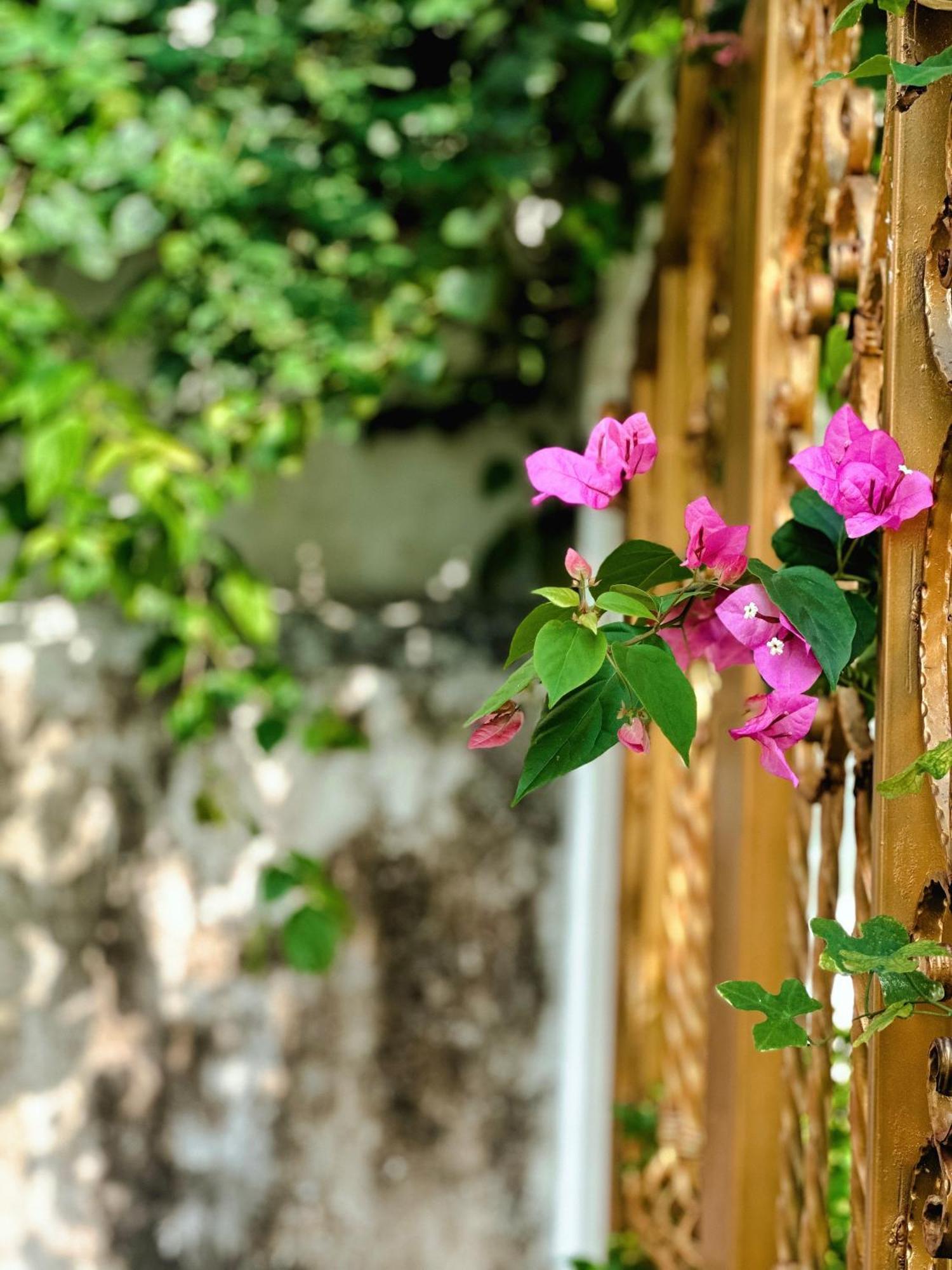 Blue Fish Villa Tan Thanh 외부 사진